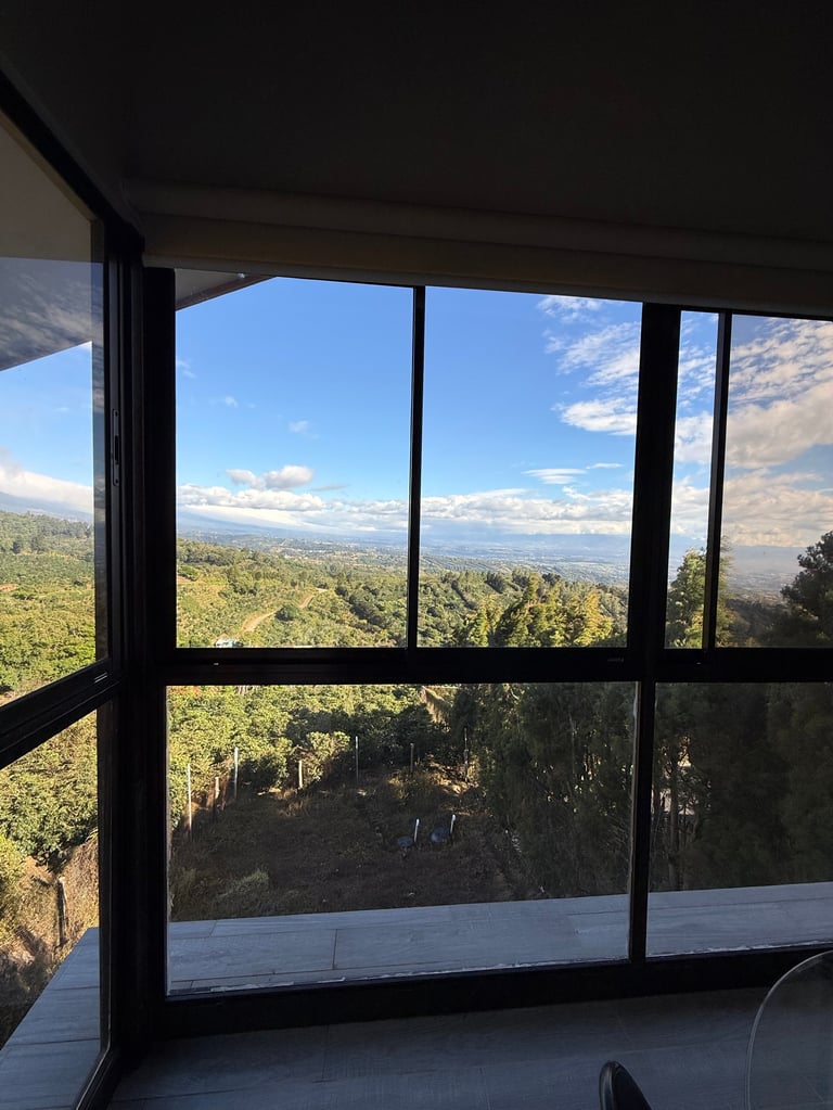 Ventana de marco negro con vista a bosque y montañas