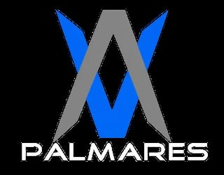 Palmares logo featuring a stylized W made of blue and gray geometric shapes