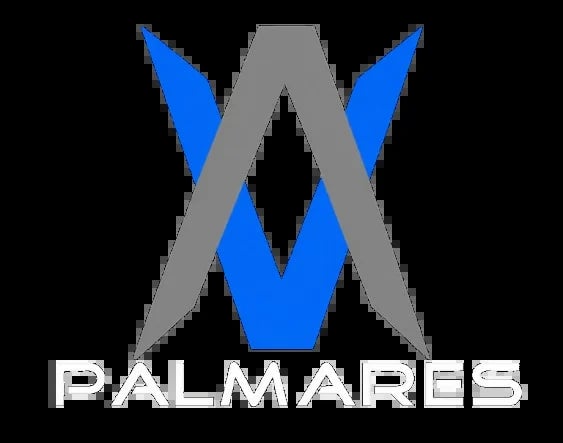 Palmares logo featuring a stylized W made of blue and gray geometric shapes on black background