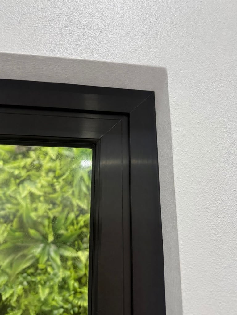 Ventana con marco negro y vegetación exterior